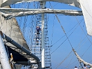 Sail 2003, hoch im Mast : Segelschiffe